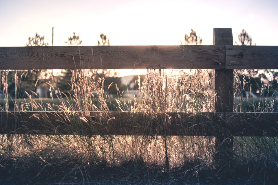 brown wooden fence