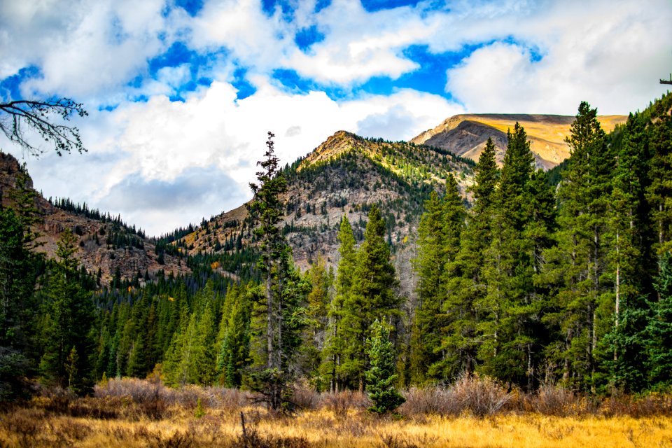 Blue sky, Clouds, Meadow