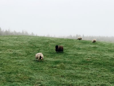 Maine, Machiasport, United states