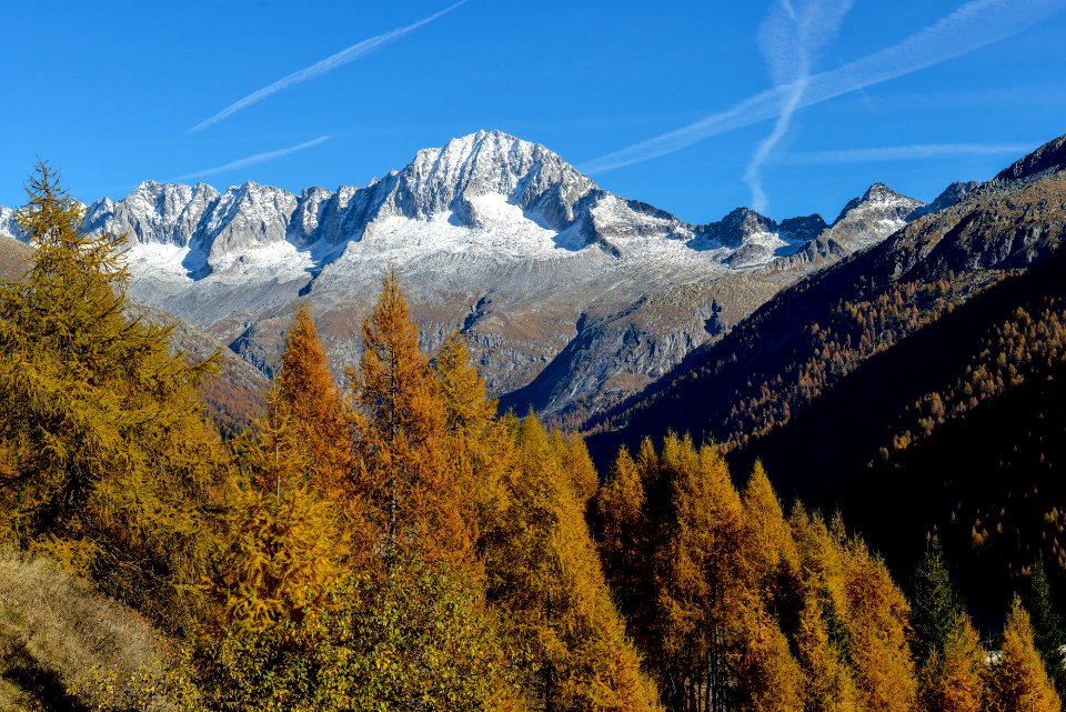 Province of trento, Italy