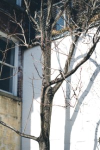 Wilmington, United states, Winter