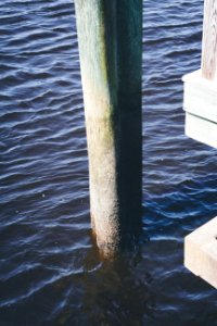 Wilmington, United states, Dock