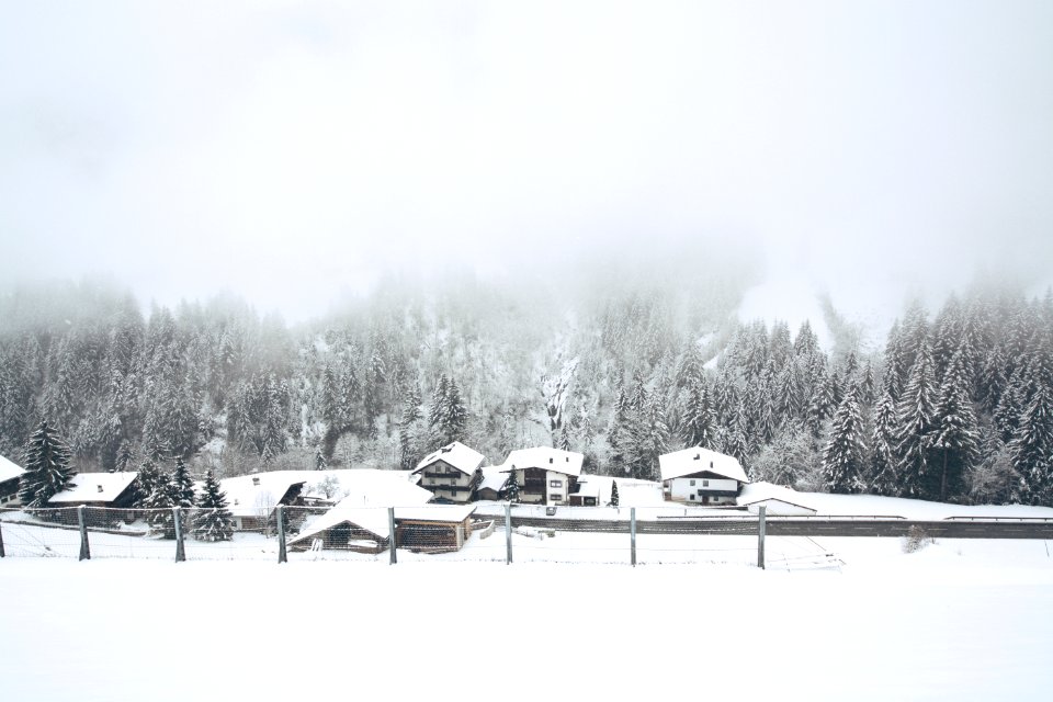 snow covered houses near trees