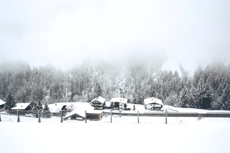 snow covered houses near trees photo