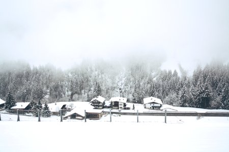 snow covered houses near trees