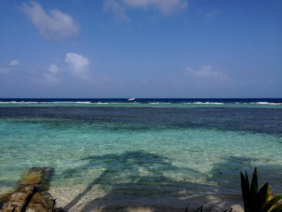 Belize, Carribowisl, Barrierreef photo