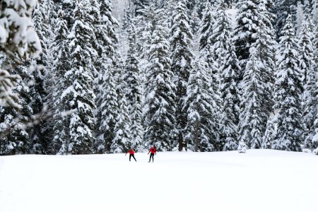 two people standing on snow plain in front of trees photo