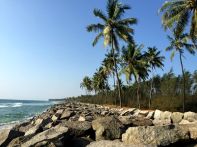Kappil beach, India, Triv