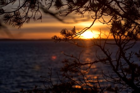 Stockholm archipelago, Sweden, Fall photo