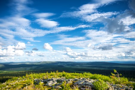 Nature, Arctic, North