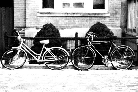 Two, Partner, Bikes photo