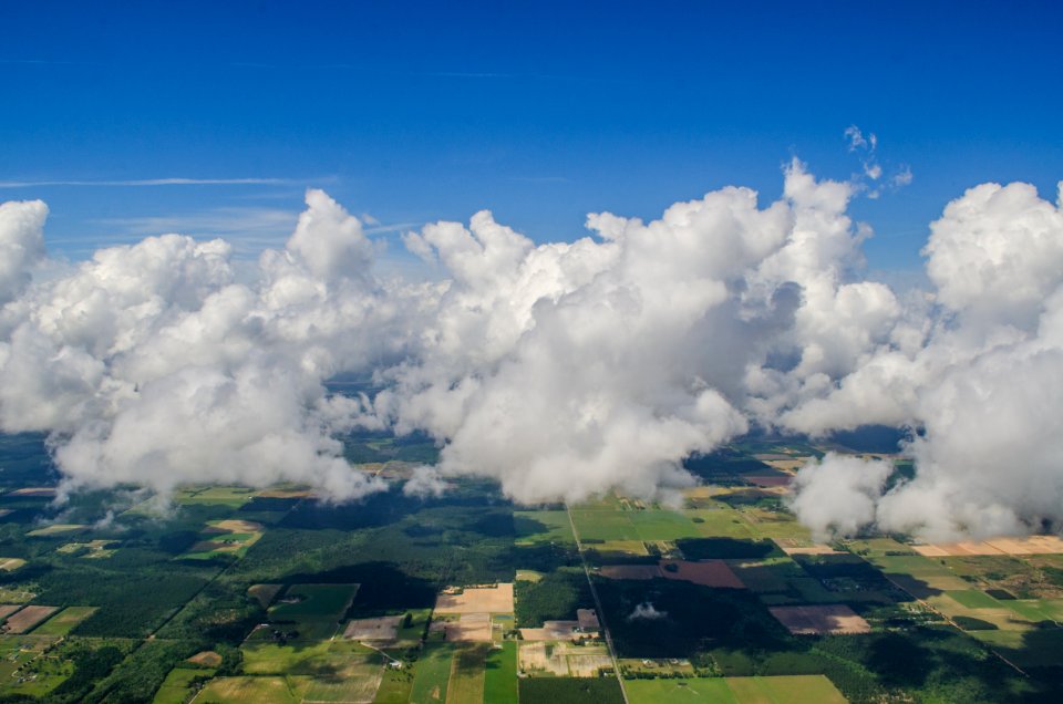 Elberta, United states, Farm