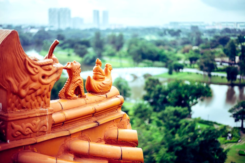 Chinese garden, Singapore, Nature