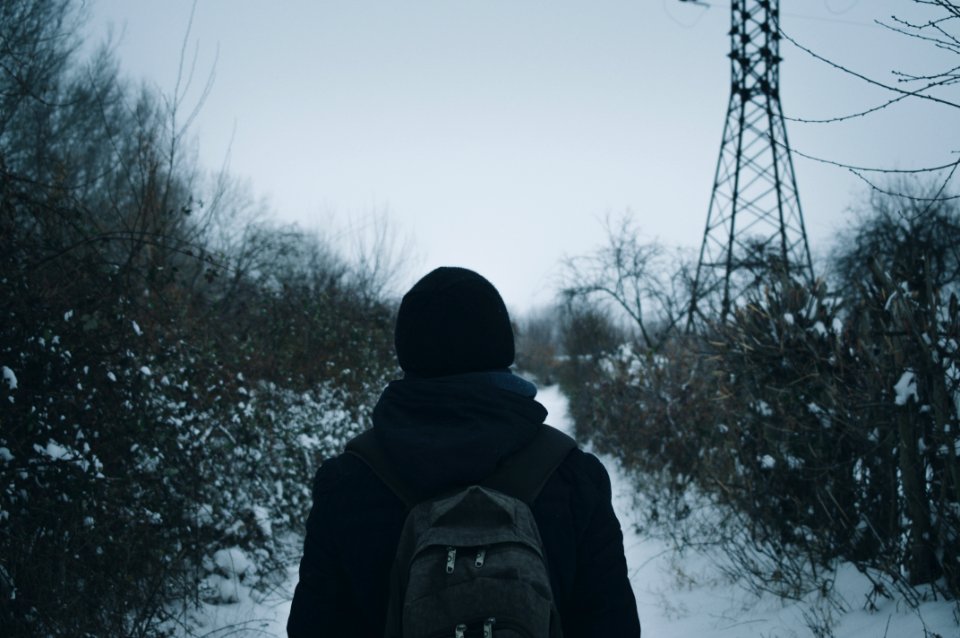 Nature, 2017, Transnistria