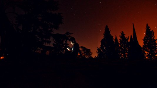 Crdoba, Spain, Forest photo