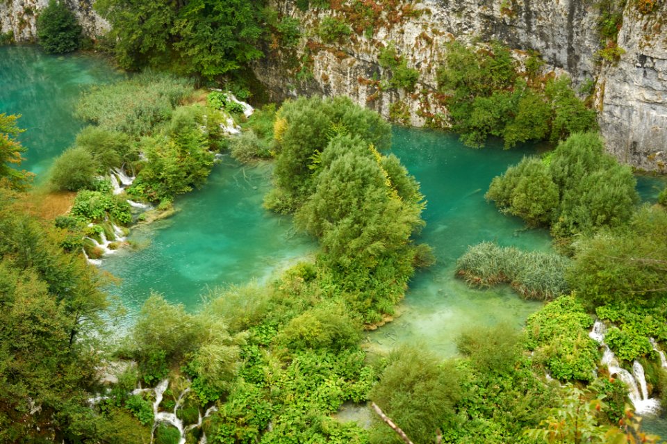 aerial photography of body of water and green trees