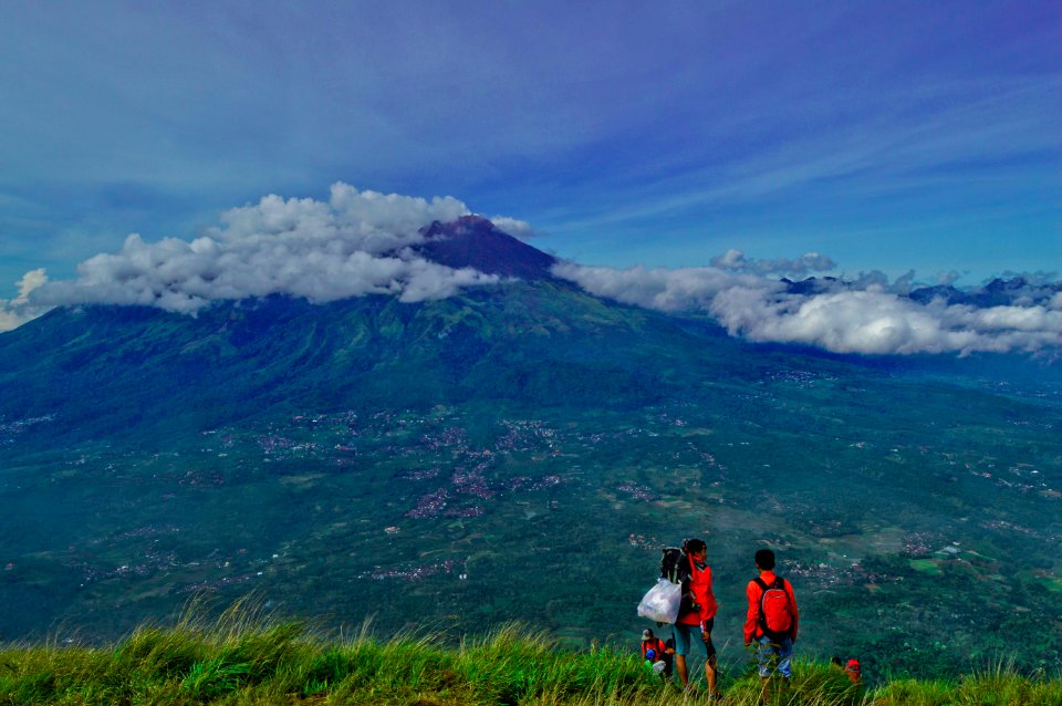 Mount penanggungan, Indonesia, Forrest