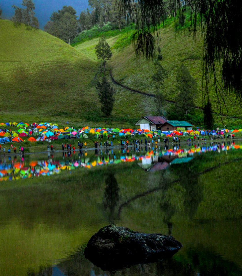 Forest, Ranu kumbolo, Indonesia