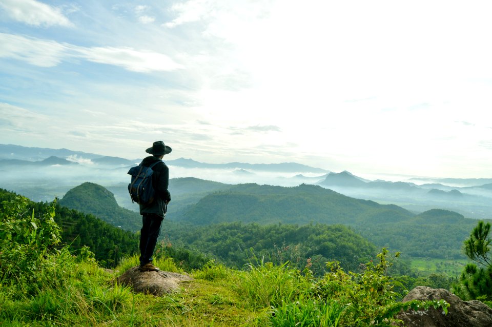 Trenggalek sub district, Indonesia, Forrest