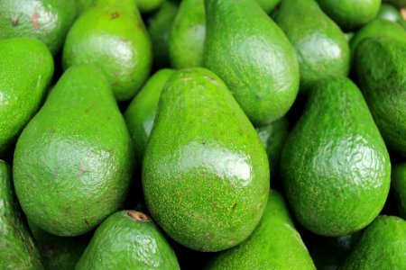 avocado fruits photo