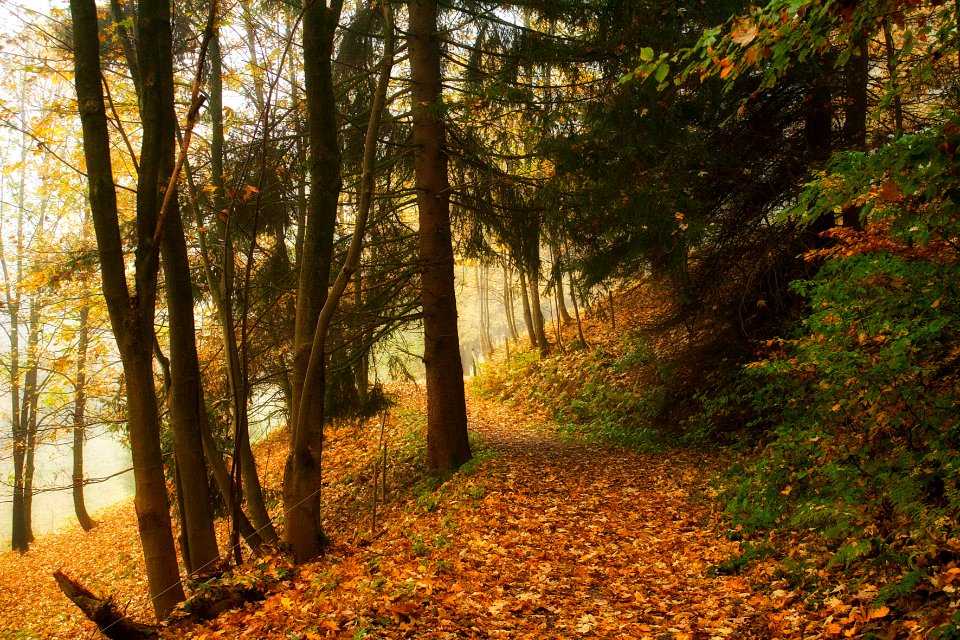 Harz, Deutschl, Tramp
