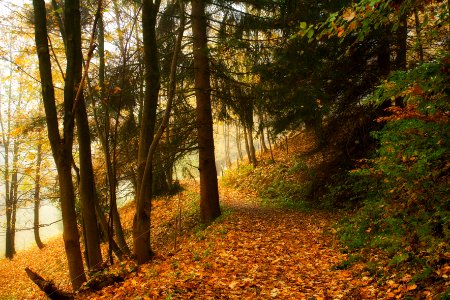 Harz, Deutschl, Tramp