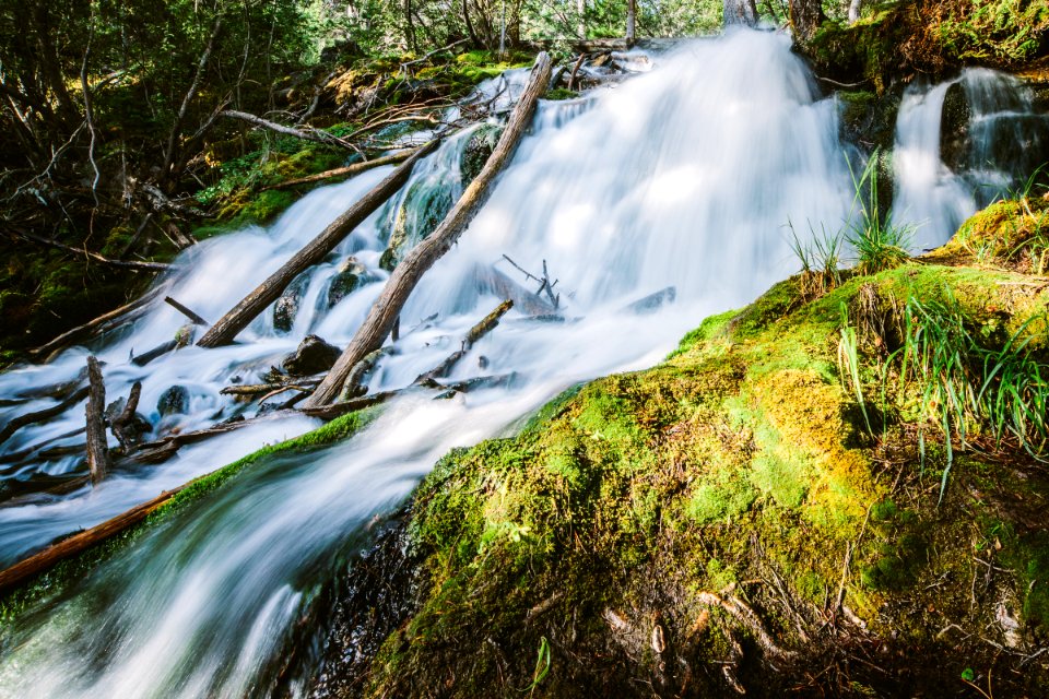 Banff, Waterfall, Moss photo