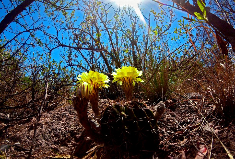 Uritorco, Crdoba, Argentina