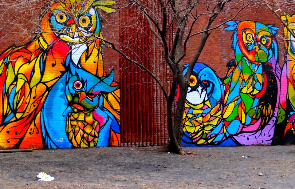 Brooklyn, New york, United states