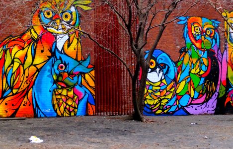 Brooklyn, New york, United states