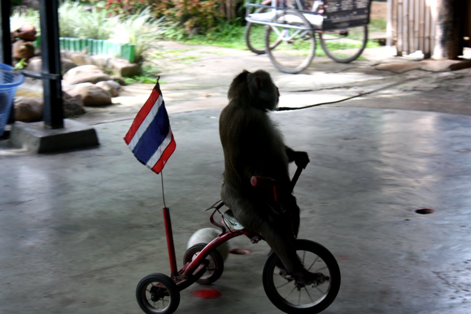 Thail, Chiang mai, Asia