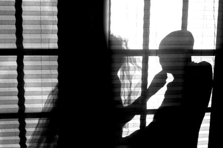 Newtown, United states, Blinds photo