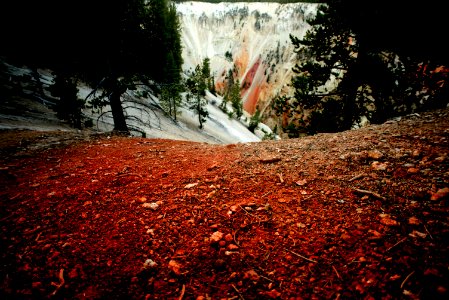 Yellowstone national park, United states, Red photo