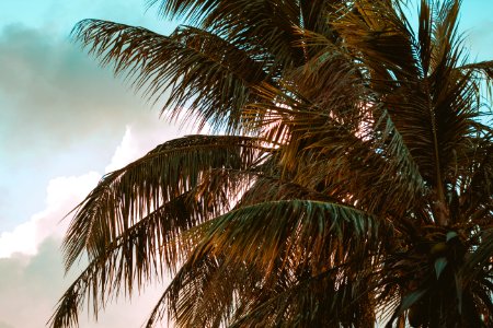 Saipan, Northern mariana isl, Beach