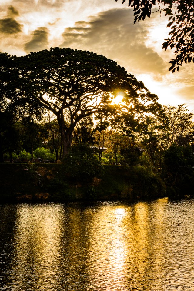 Ufv, Viosa, Brazil