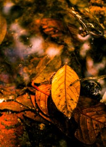 Colors, Water, Abstract