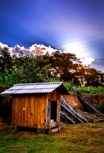 Espera feliz, Brazil, Nature photography