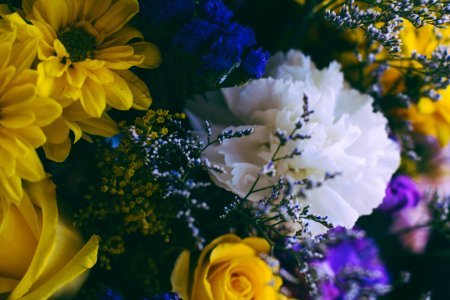 bouquet of assorted-color flowers photo