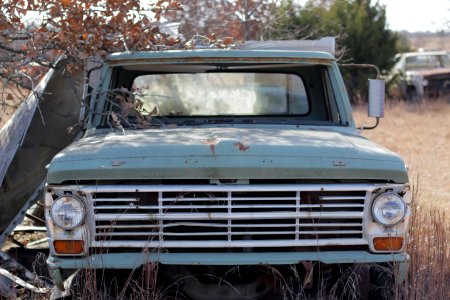 Ford, Rust, Junkyard photo