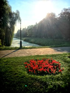 Central park of culture, Rest, Lutsk