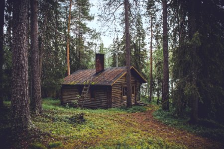 photo of brown wooden cabin in forest during daytime photo
