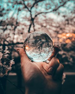 person holding round glass ball photo