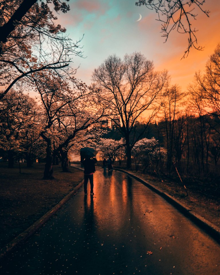High park, Toronto, Canada