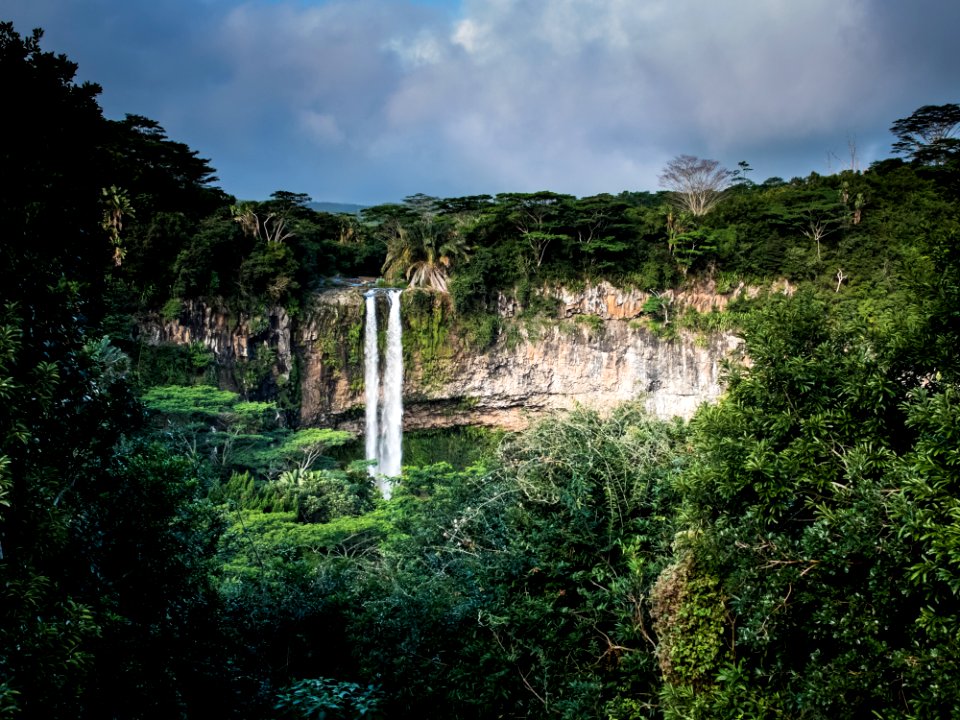 waterfall surrounded with trees
