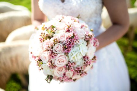 woman holding white and pink petal flower bouquet photo
