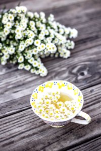 white and yellow cup with flowers on table photo
