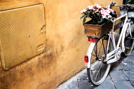 white bicycle with potted flower beside yellow wall photo