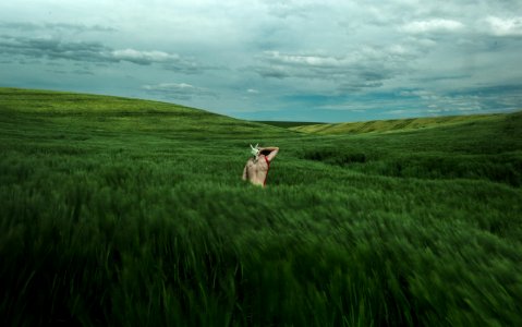 person in green grass field photo
