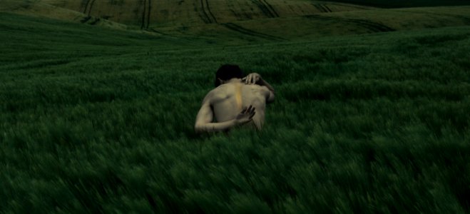 A shirtless person scratching their back in a field of tall grass. photo