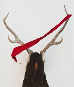 A piece of red fabric on a deer's antlers. photo